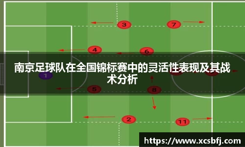 南京足球队在全国锦标赛中的灵活性表现及其战术分析